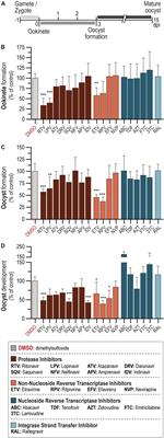 The Impact of Antiretroviral Therapy on Malaria Parasite Transmission